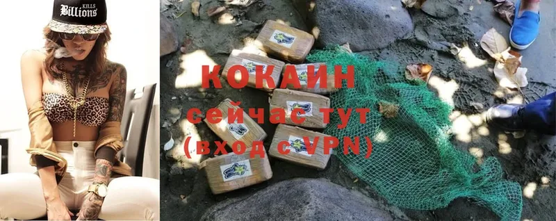 купить наркоту  Ярославль  Cocaine Fish Scale 